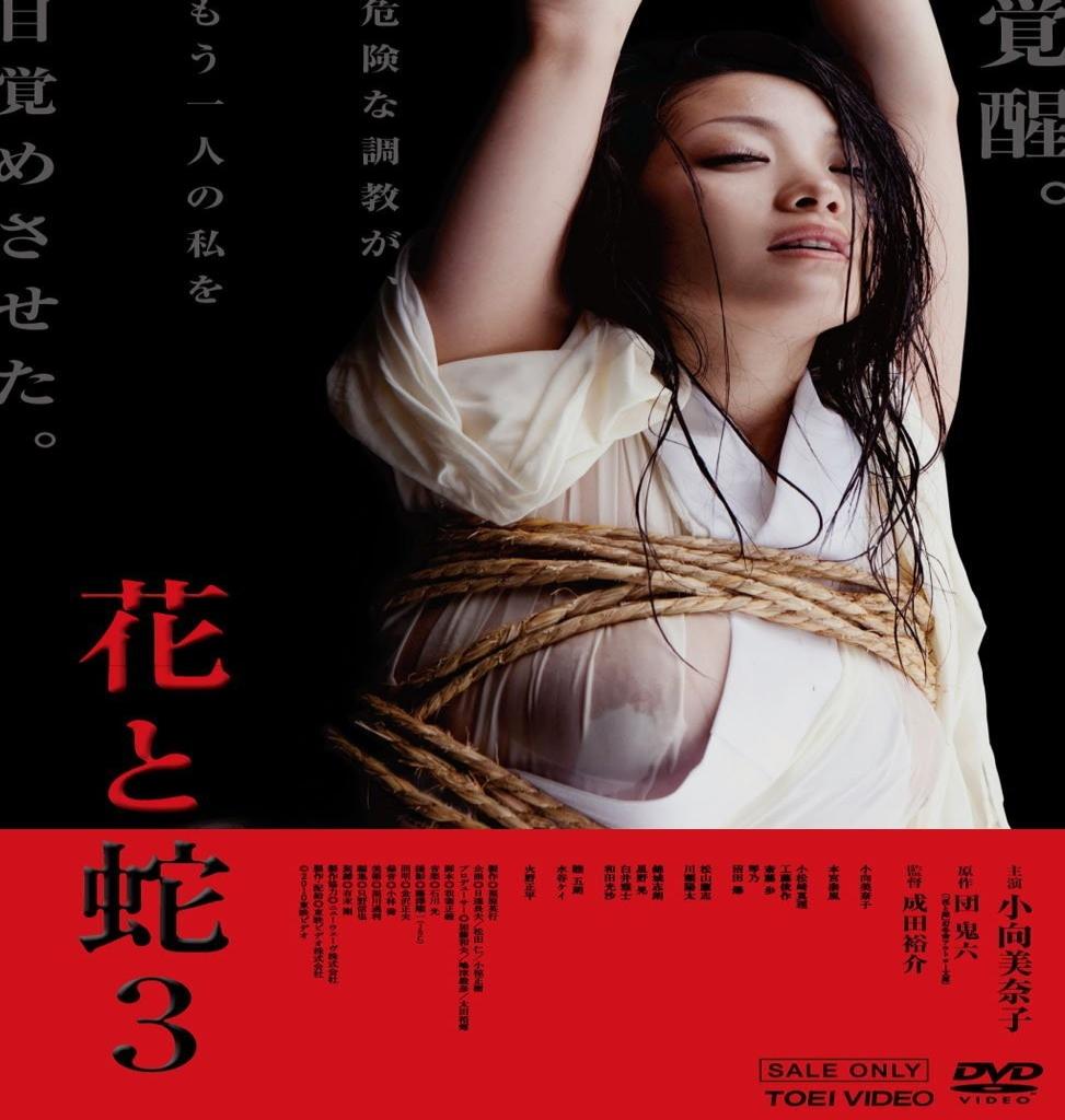 尾盘，A股突然异动！大面积涨停！外围，传来利好
